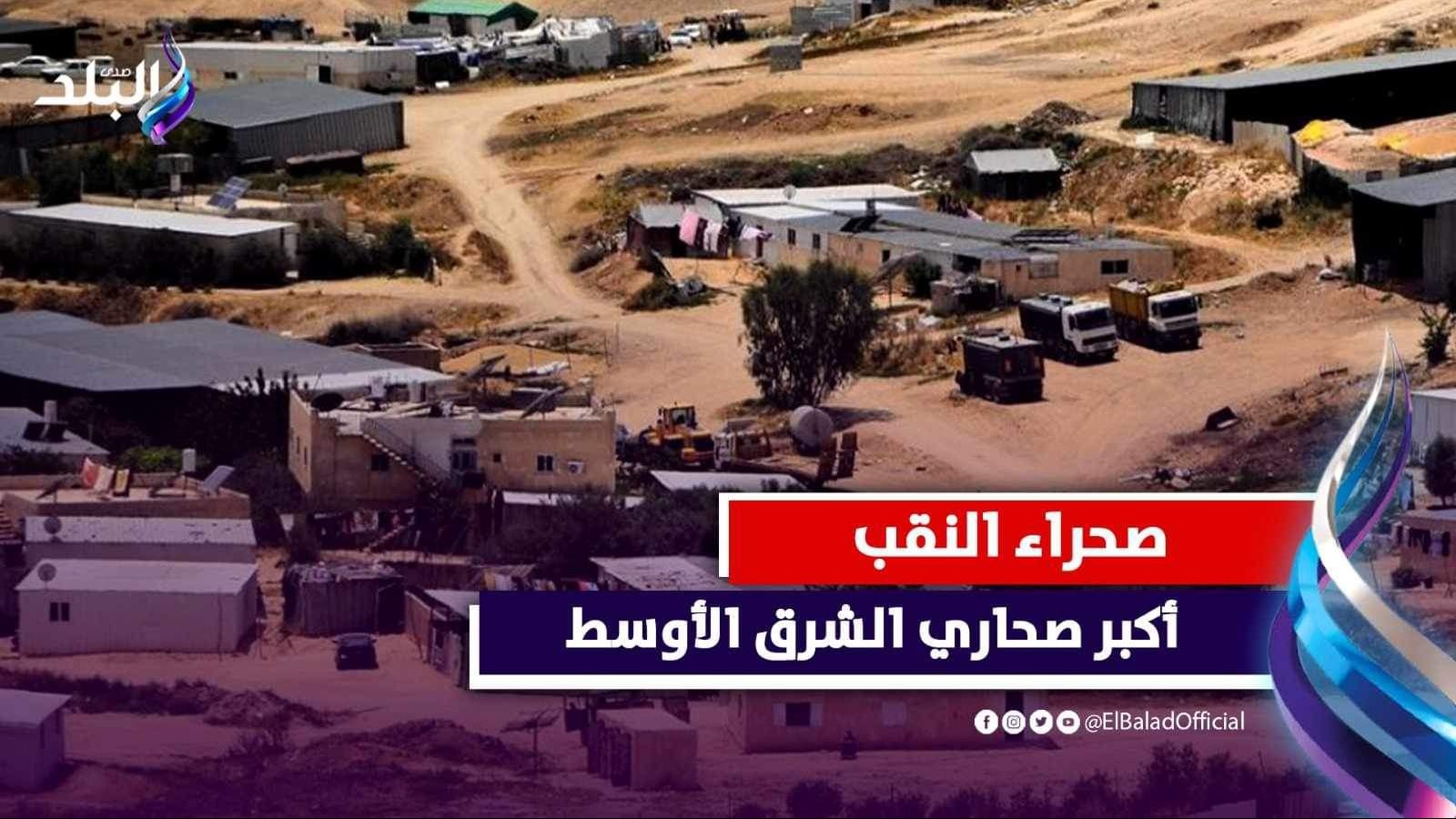 صحراء النقب