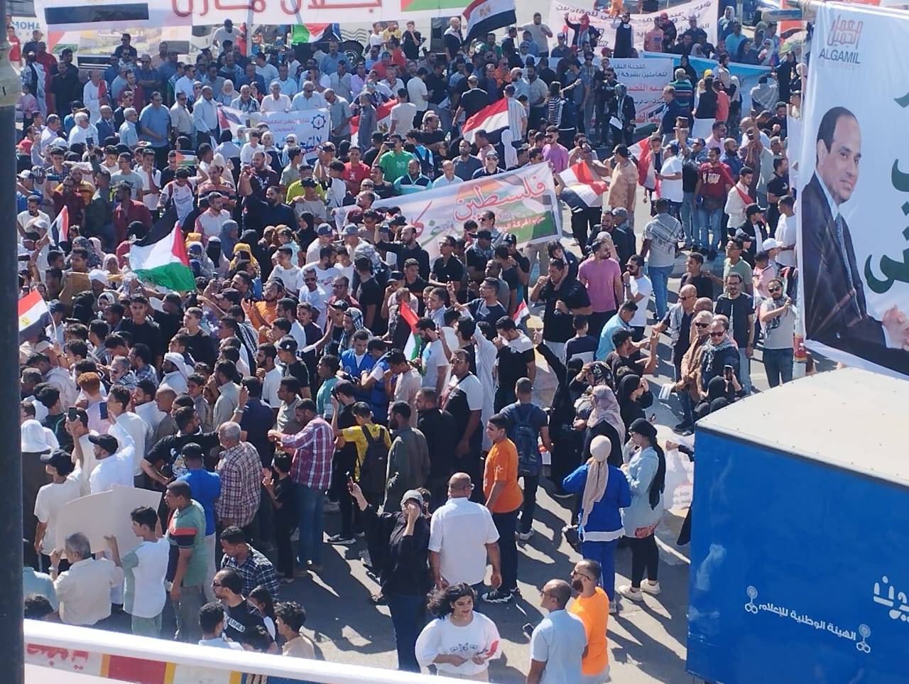 حزب الحركة الوطنية المصرية