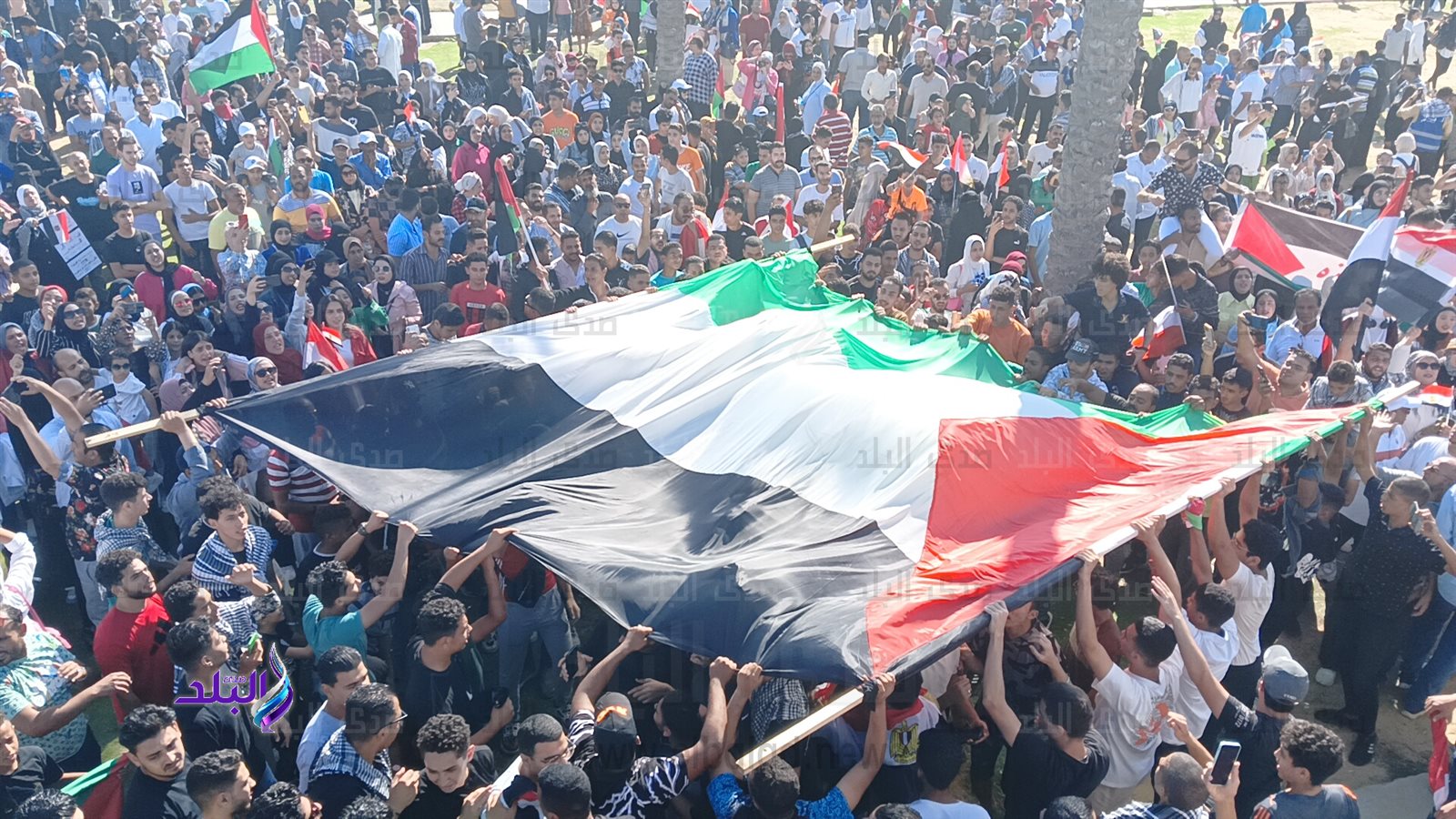 IMG20231020145451_01