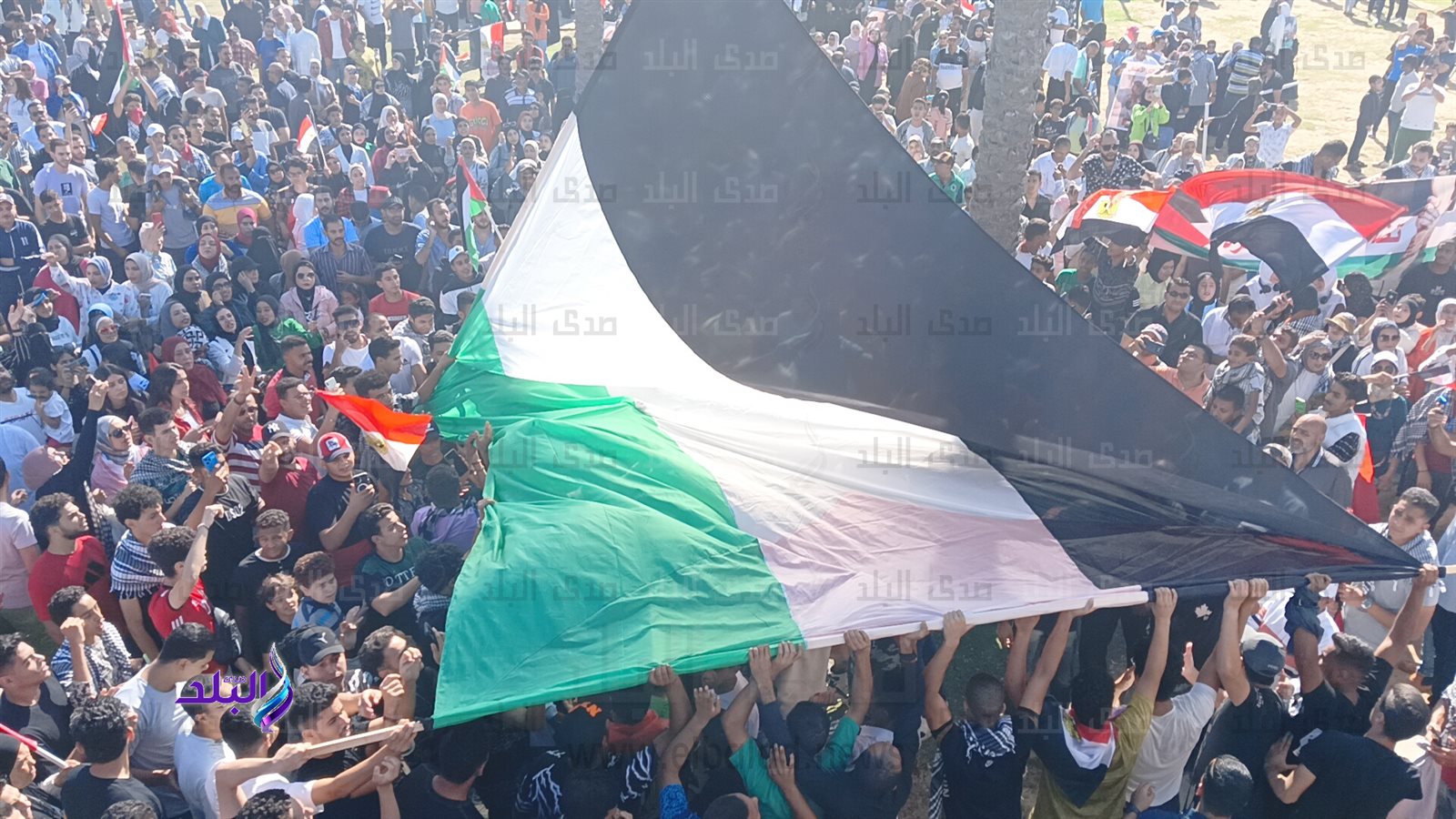 IMG20231020145419_01