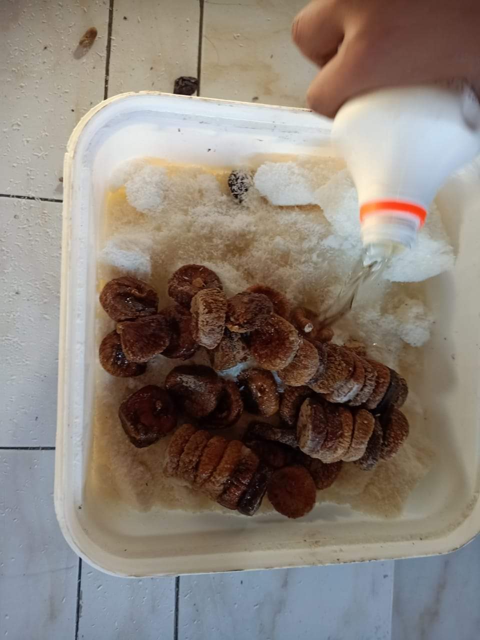اطعمه فاسدة