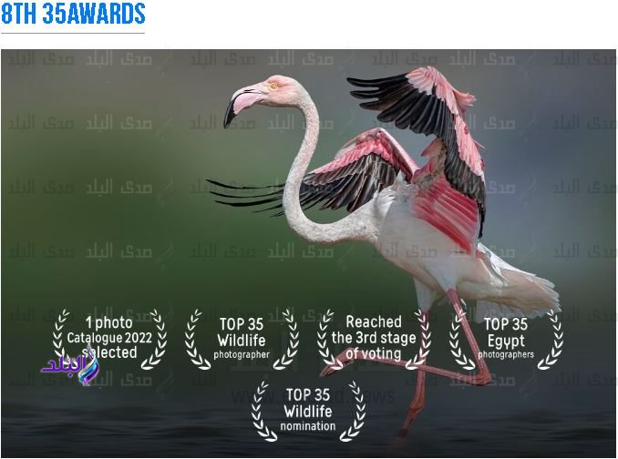 received_1511670046324397