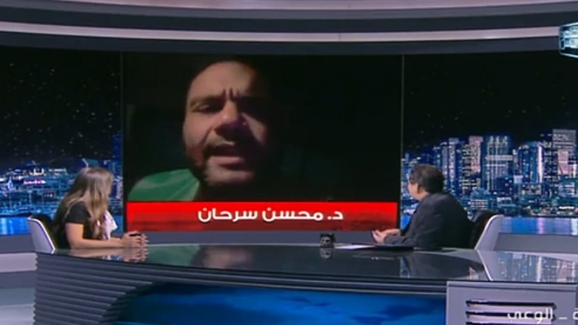 محسن سرحان، الرئيس التنفيذي لبنك الطعام المصري