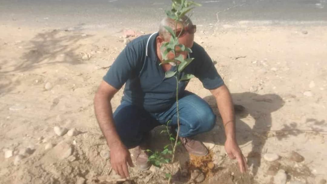 زراعة أشجار مثمرة وزينة 