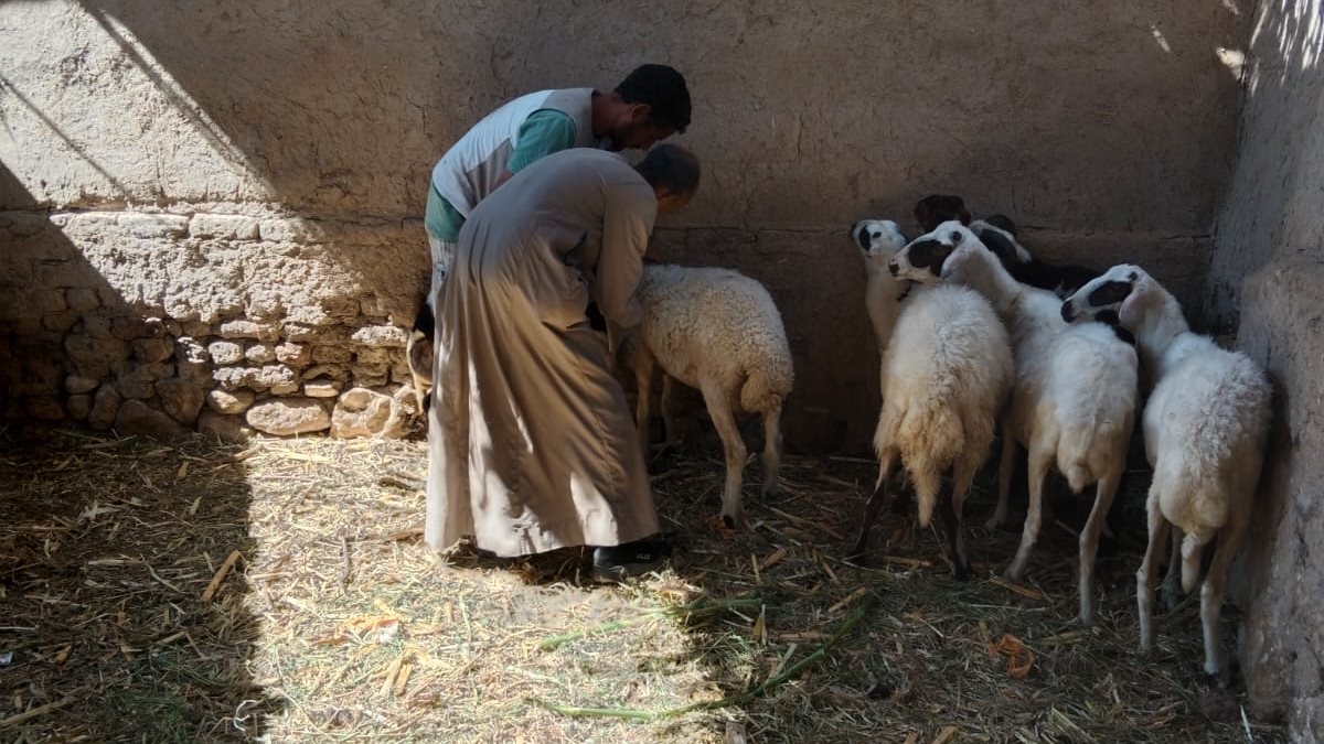 صورة ارشيفية 