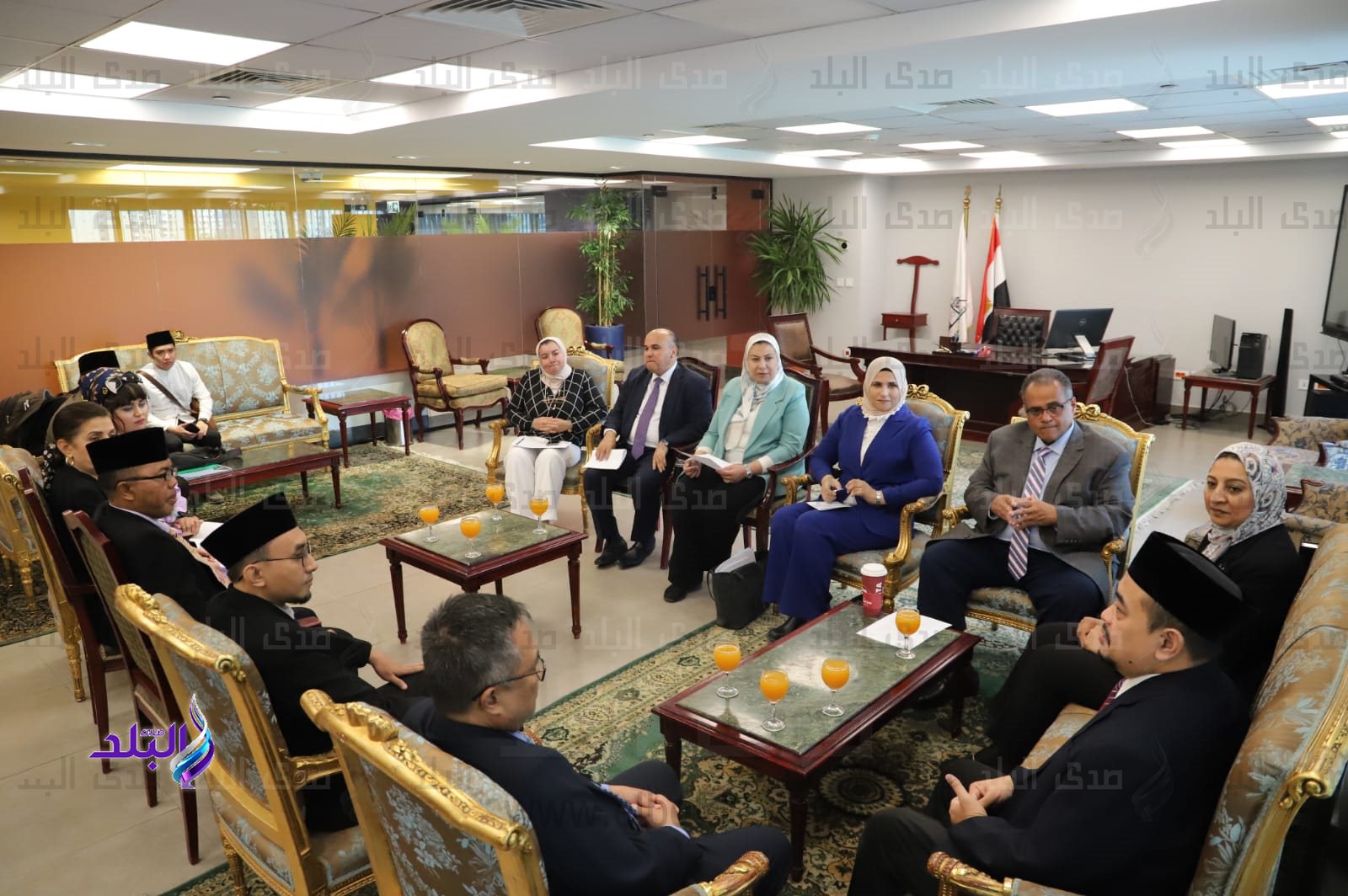 جامعة عين شمس