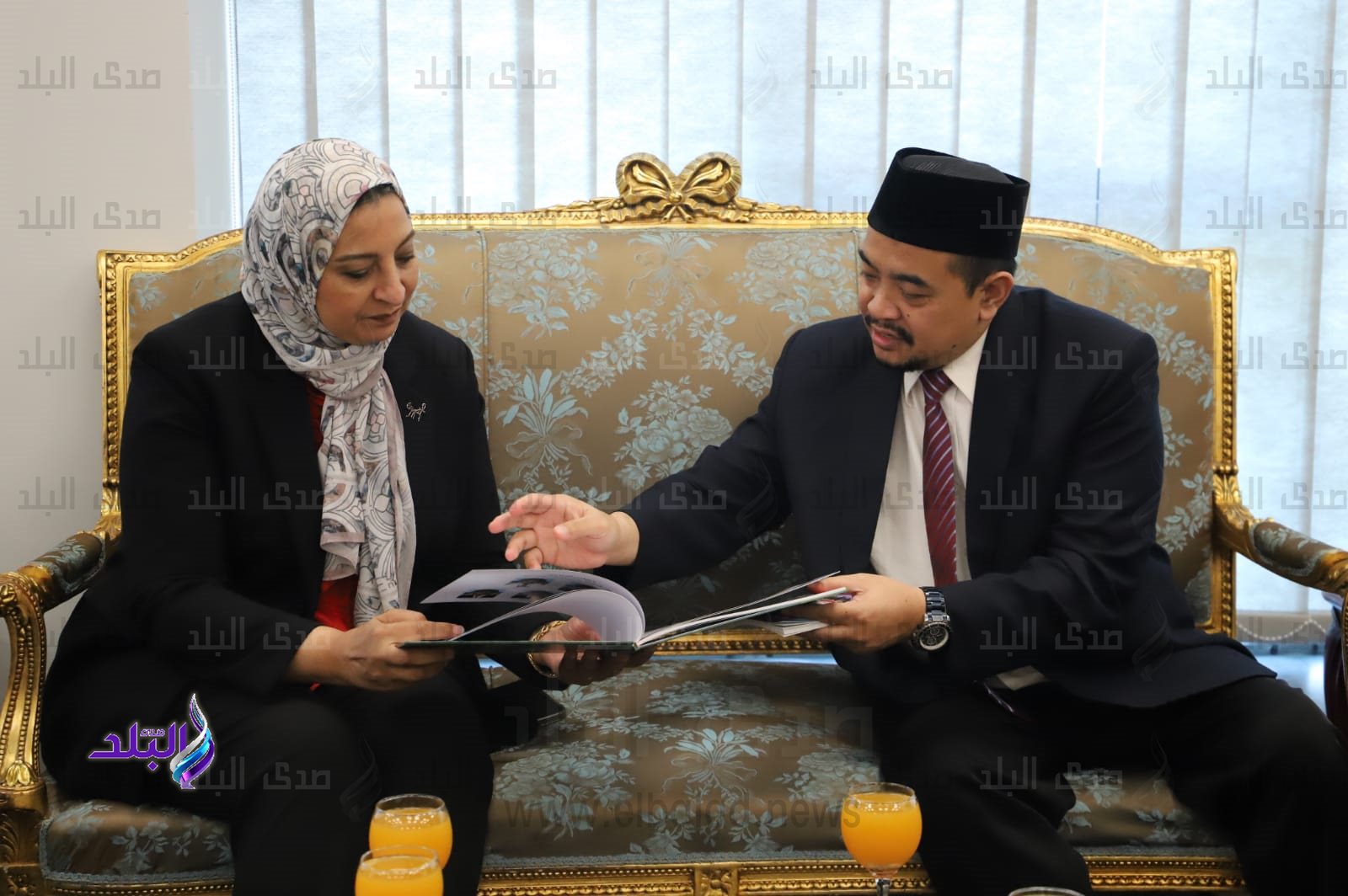 جامعة عين شمس