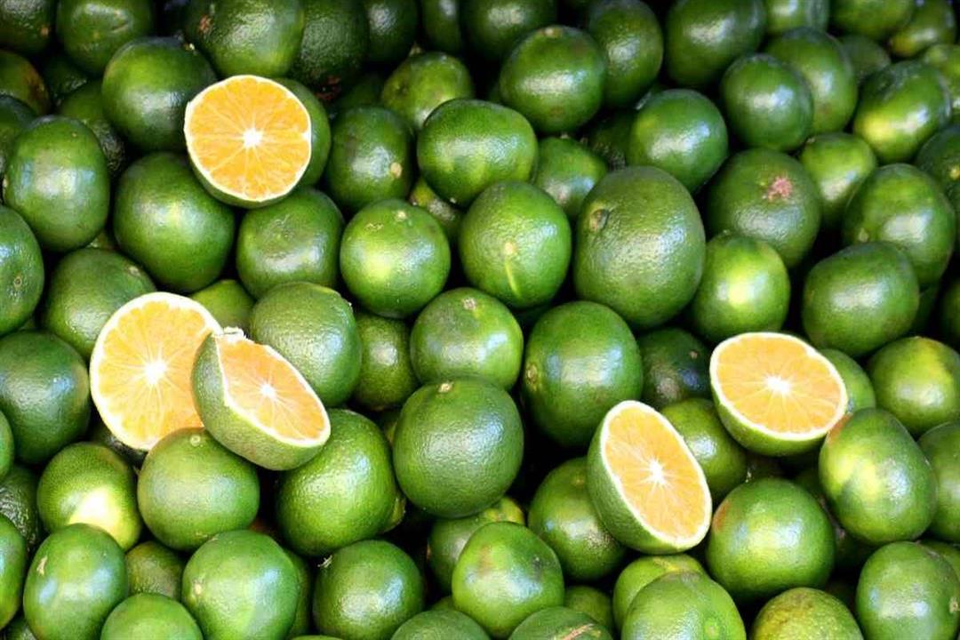 البرتقال الأخضر 