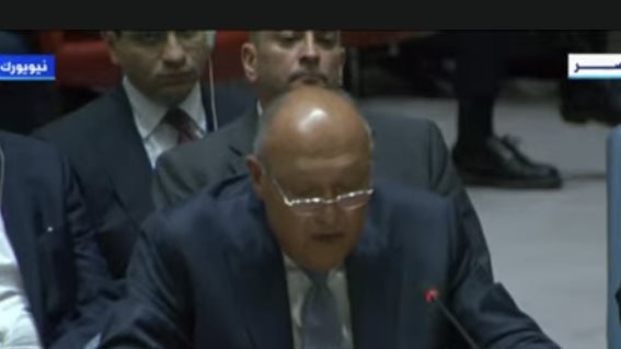 سامح شكري