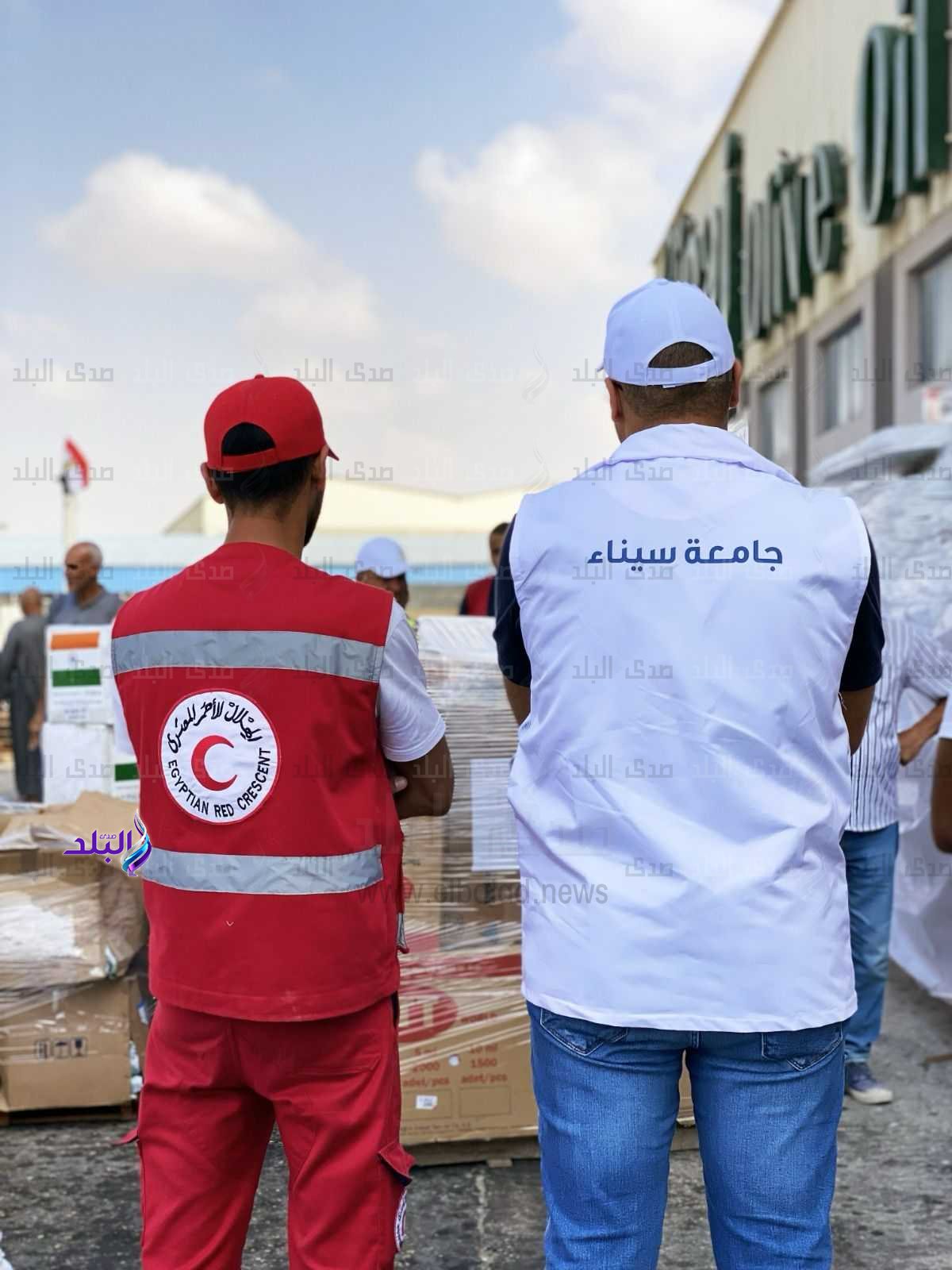 جامعة سيناء تطلق قافلة طبية لغزة تحمل 11 طنا من المساعدات الإنسانية1