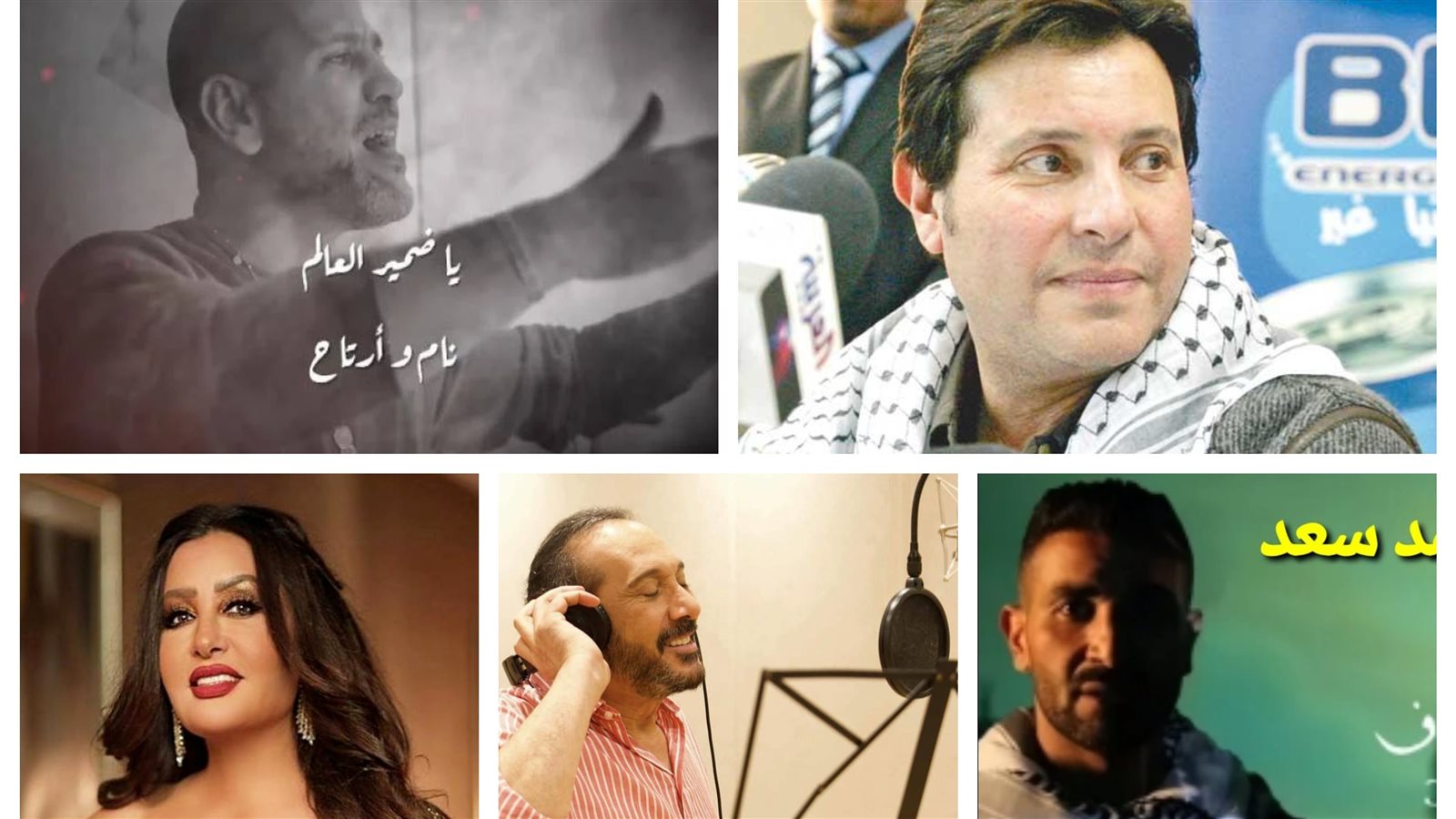 نجوم الغناء يدعمون القضية الفلسطينية 