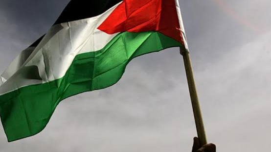 من عمق الألم ينشرون الفرحة ..مقطع فيديو لمجموعة أطفال فلسطني