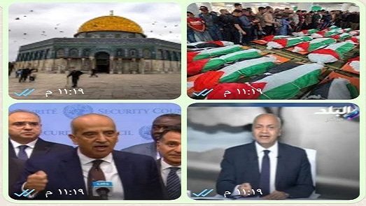 اخبار التوك شو 