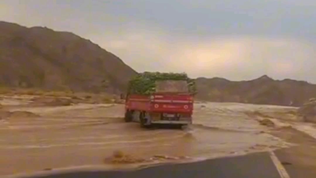 صورة موضوعية 