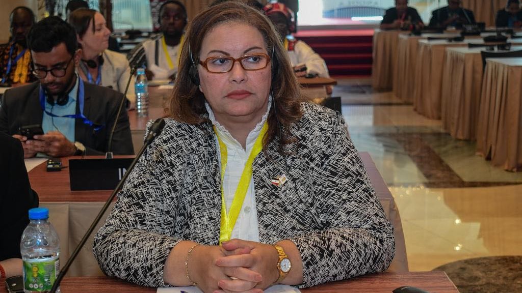 النائبة عايدة نصيف 