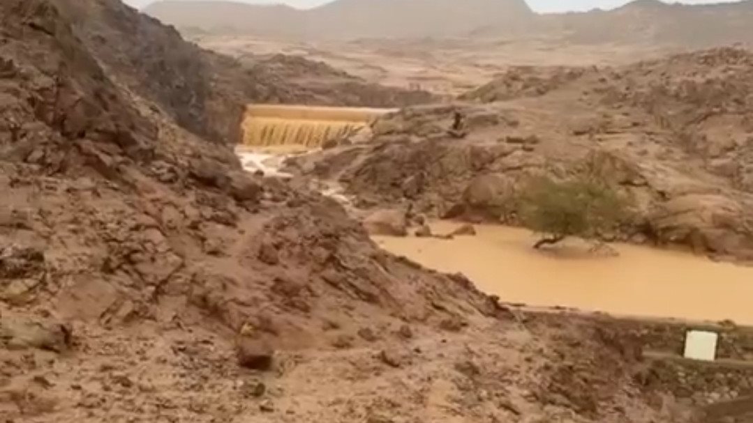 سيول الطرفة 