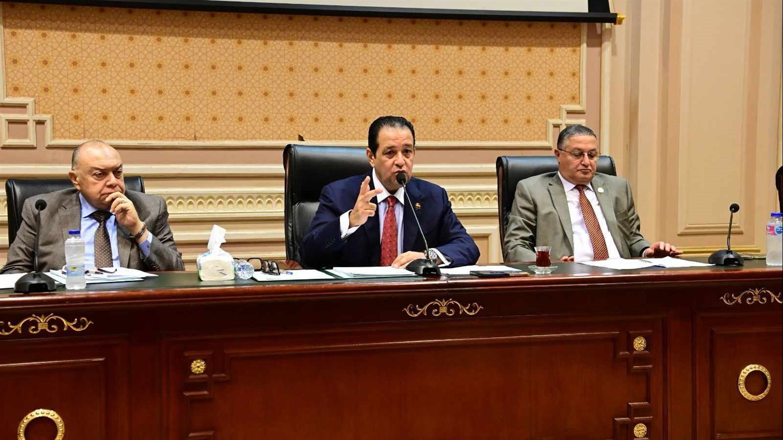 جانب من اجتماع اللجنة 