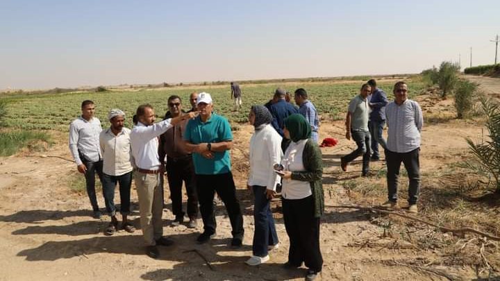 محافظ الوادي الجديد يتابع مشروعات الصوب الزراعية بالخارجة محافظ الوادي الجديد يتابع مشروعات الصوب الزراعية بالخارجة
