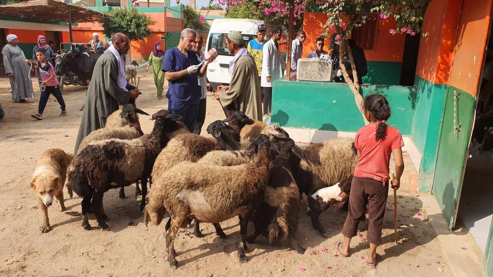 خدمات بيطرية مجانية بالمنيا 