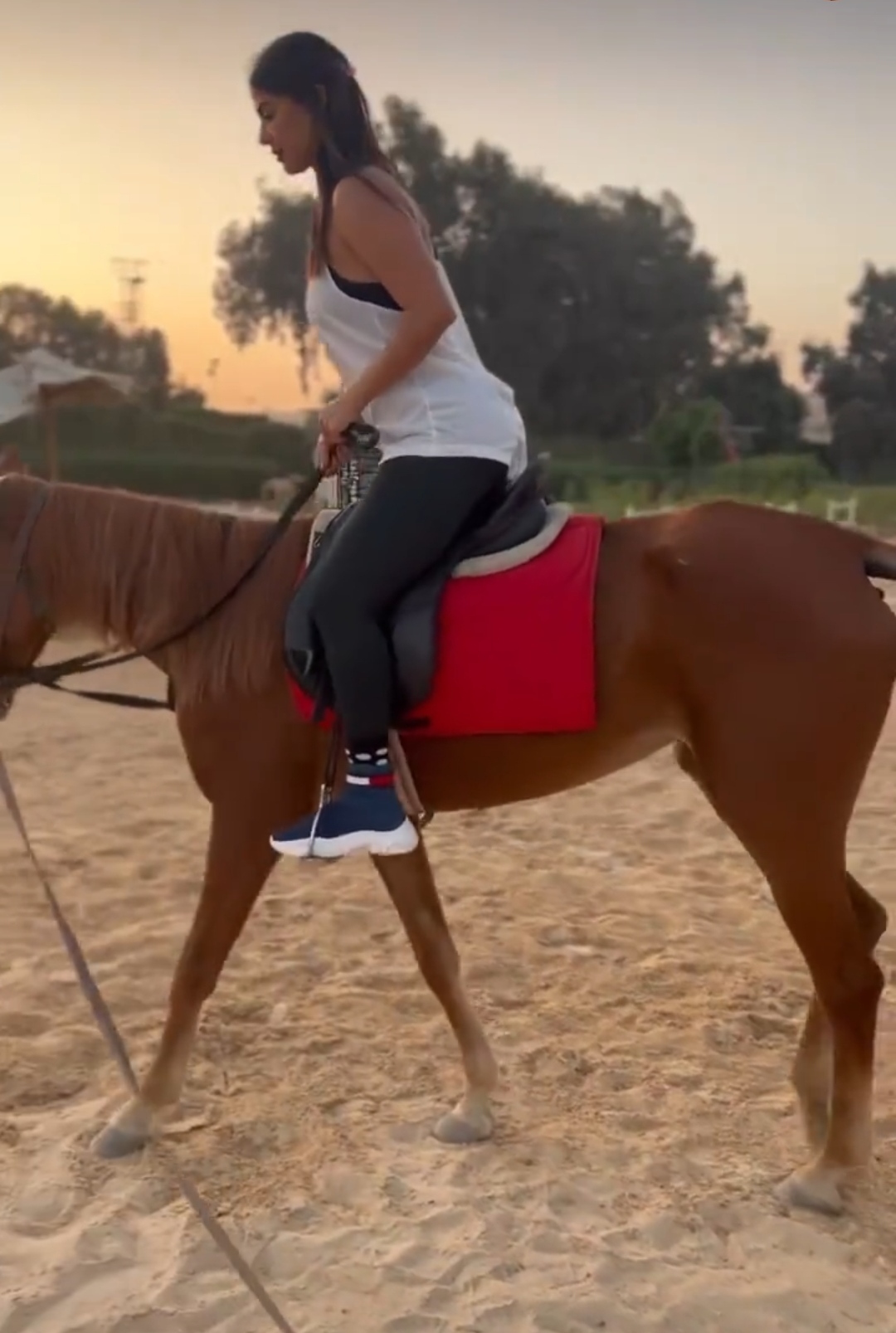 IMG_٢٠٢٣١١٠٦_٢١٠٦٥٧