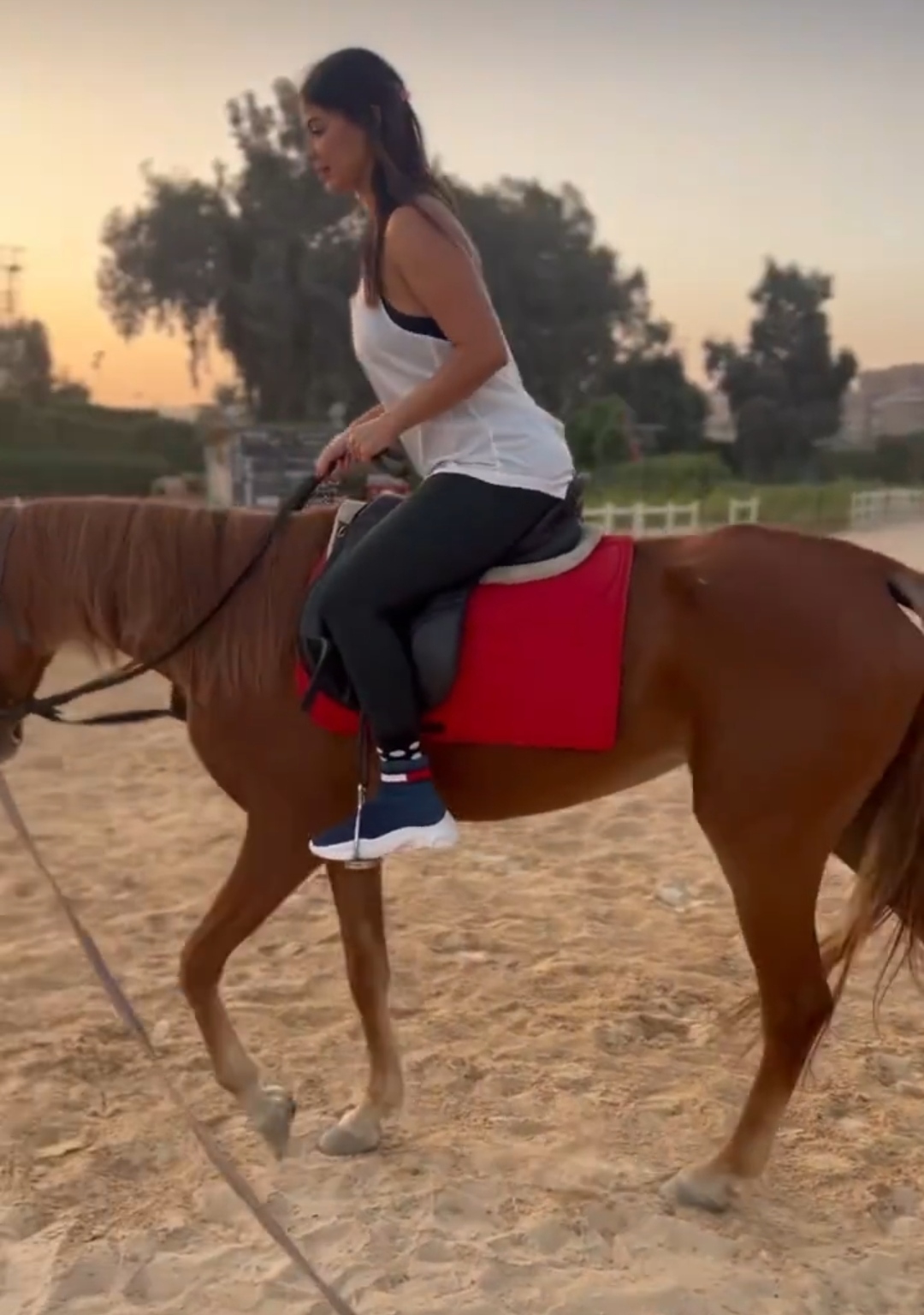 IMG_٢٠٢٣١١٠٦_٢١٠٧١٥