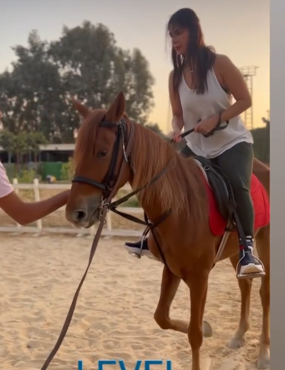 IMG_٢٠٢٣١١٠٦_٢١٠٧٣٤