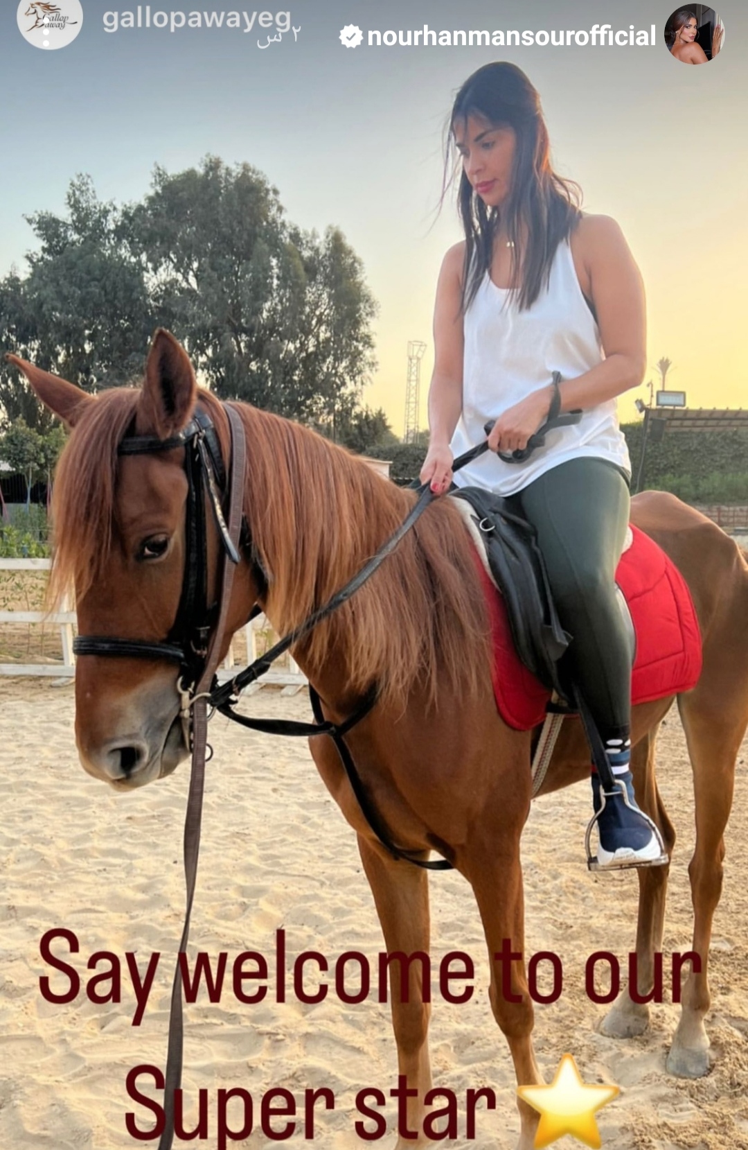 IMG_٢٠٢٣١١٠٦_٢١٠٨١٦