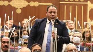  النائب مصطفى سالمان، عضو مجلس الشيوخ