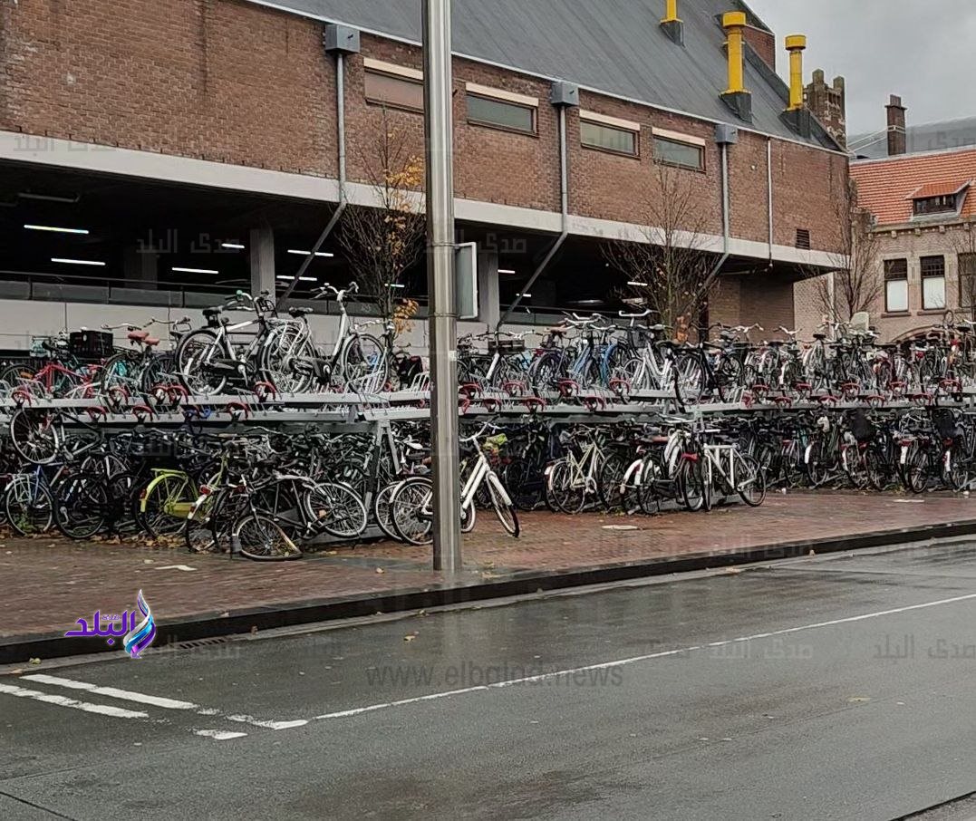 photo_5933646402490056380_y