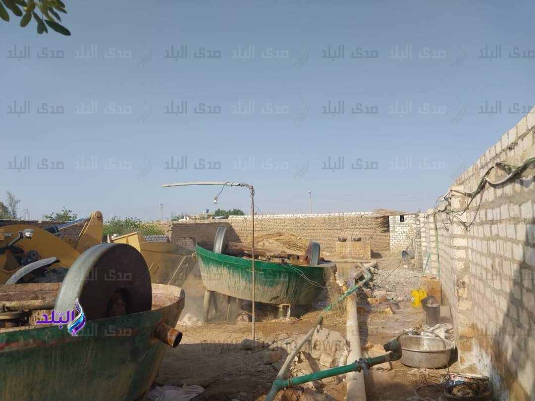 FB_IMG_1699694843275