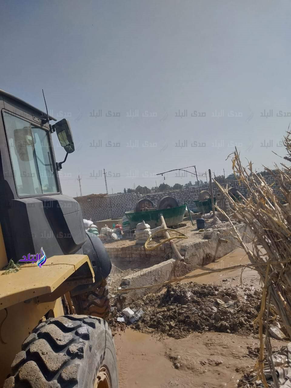 FB_IMG_1699694820883