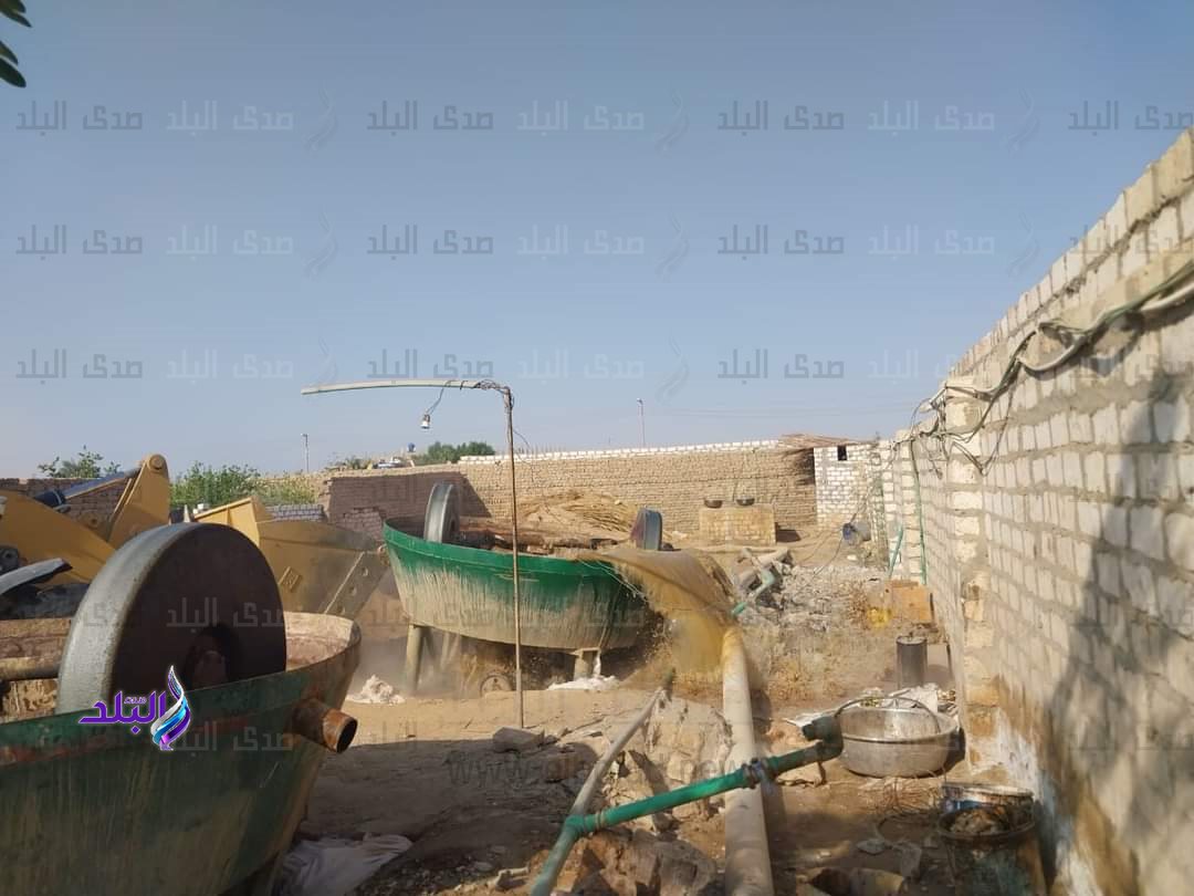 FB_IMG_1699694812719