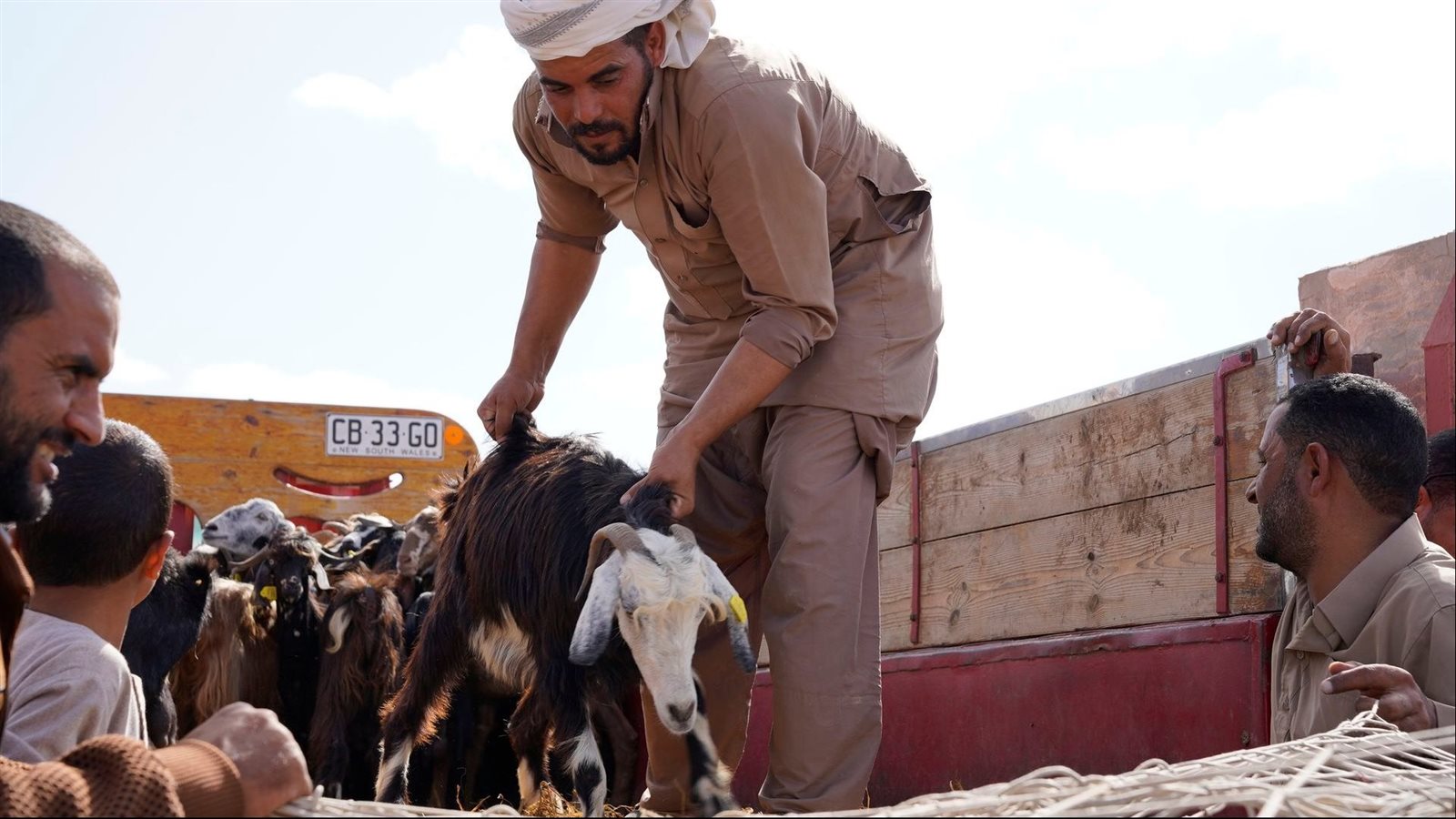 تسليم الماعز على المراءة المعيلة 