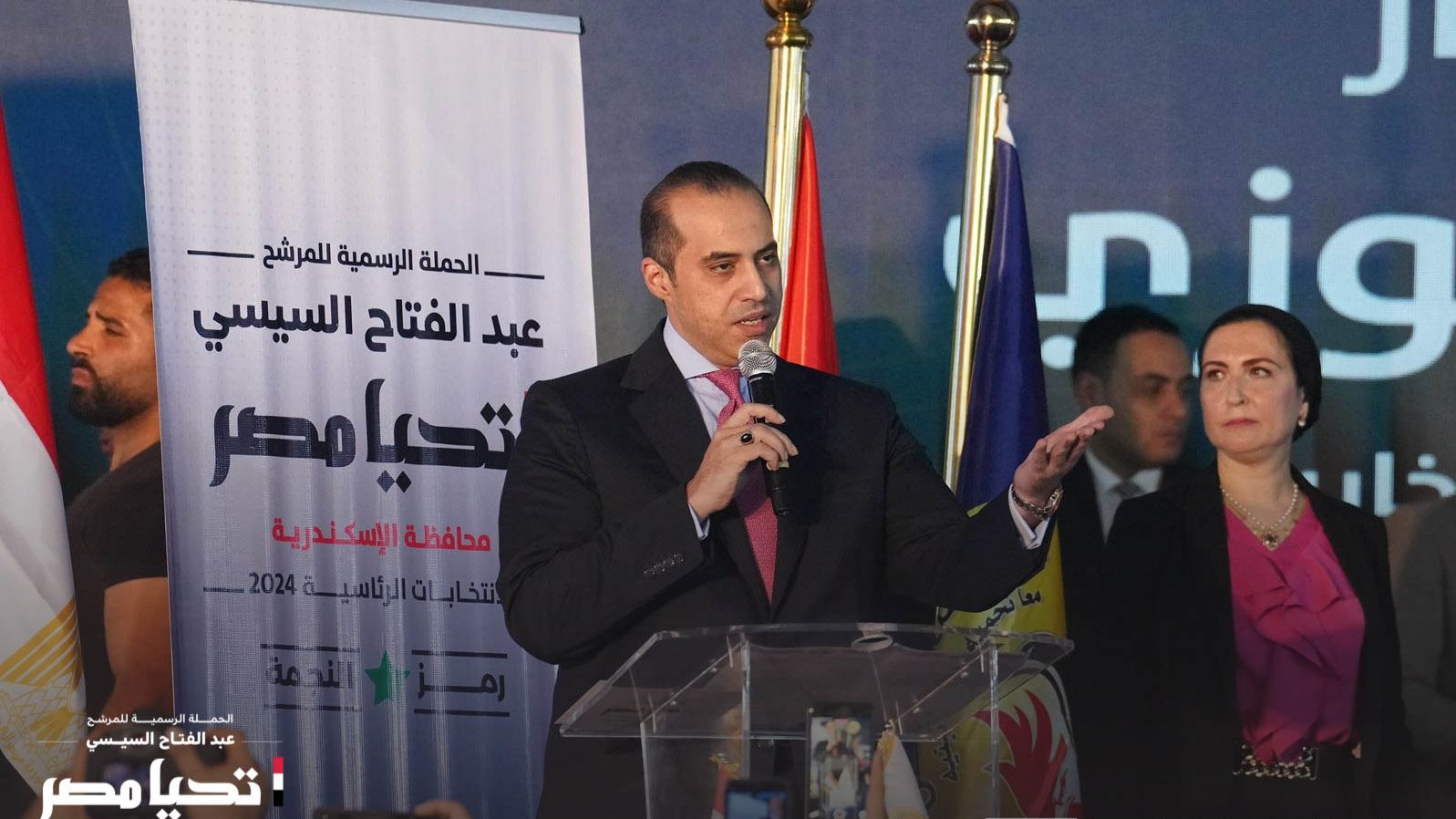 المستشار محمود فوزي 