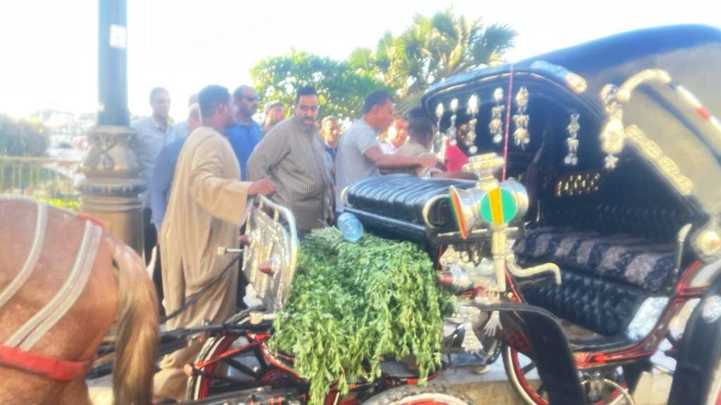 حملات بأسوان 