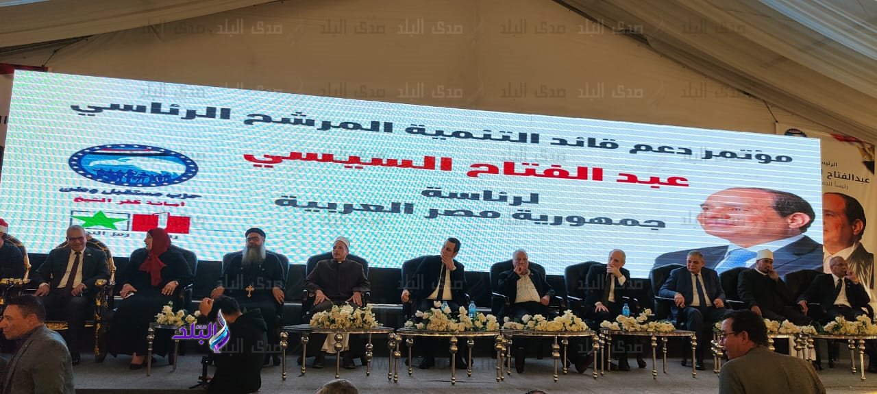 جانب من الفعاليات 