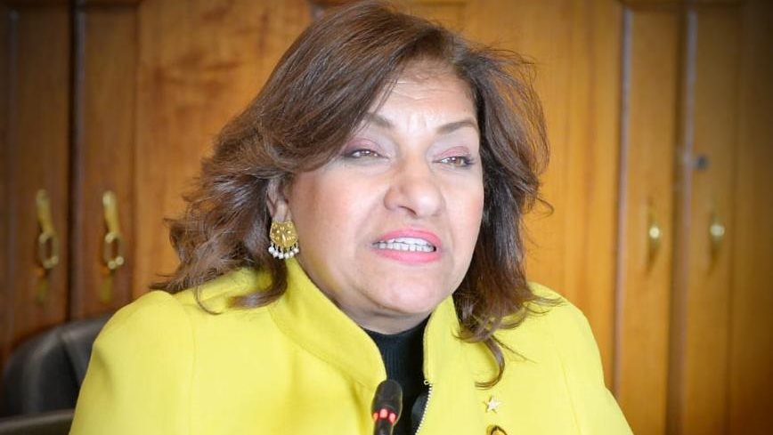 النائبة ايفلين متى ، عضو لجنة الصناعة بمجلس النواب