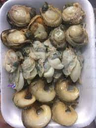 FB_IMG_1700469911388