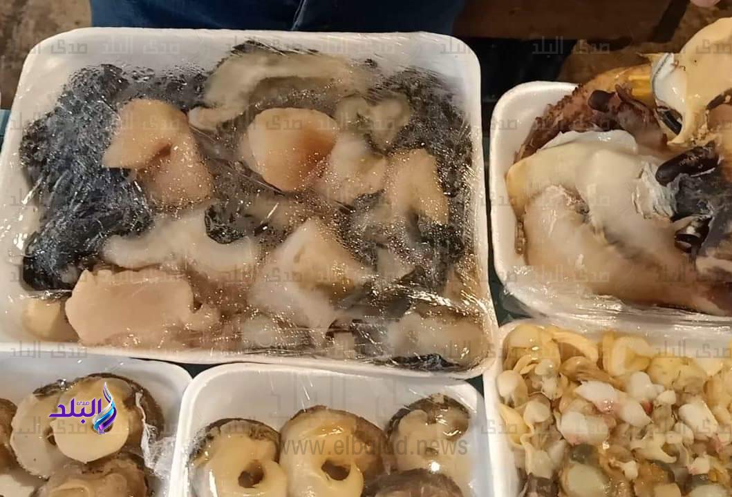 FB_IMG_1700469909103