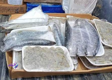 FB_IMG_1700469906770