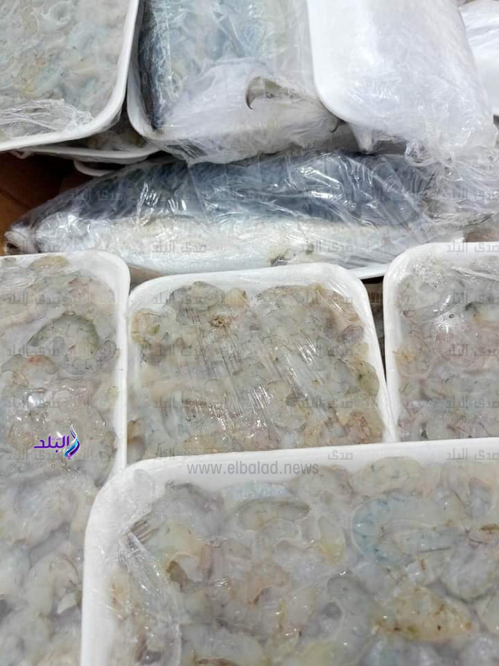 FB_IMG_1700469903855