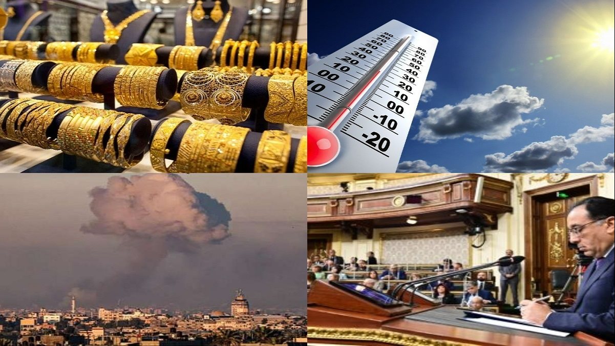 نشرة التوك شو