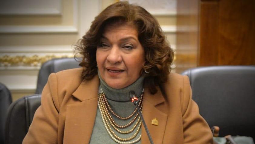 النائبة إيفلين متى ، عضو لجنة الصناعة بمجلس النواب