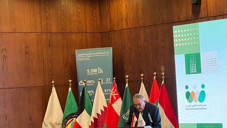 أحمد الوكيل