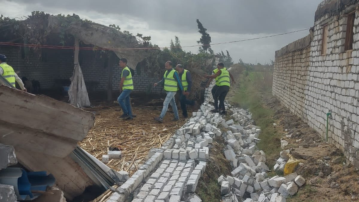 إزالة التعديات على الأراضي الزراعية بالإسكندرية