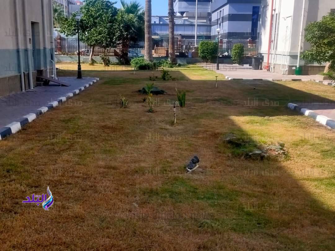 FB_IMG_1700750443612