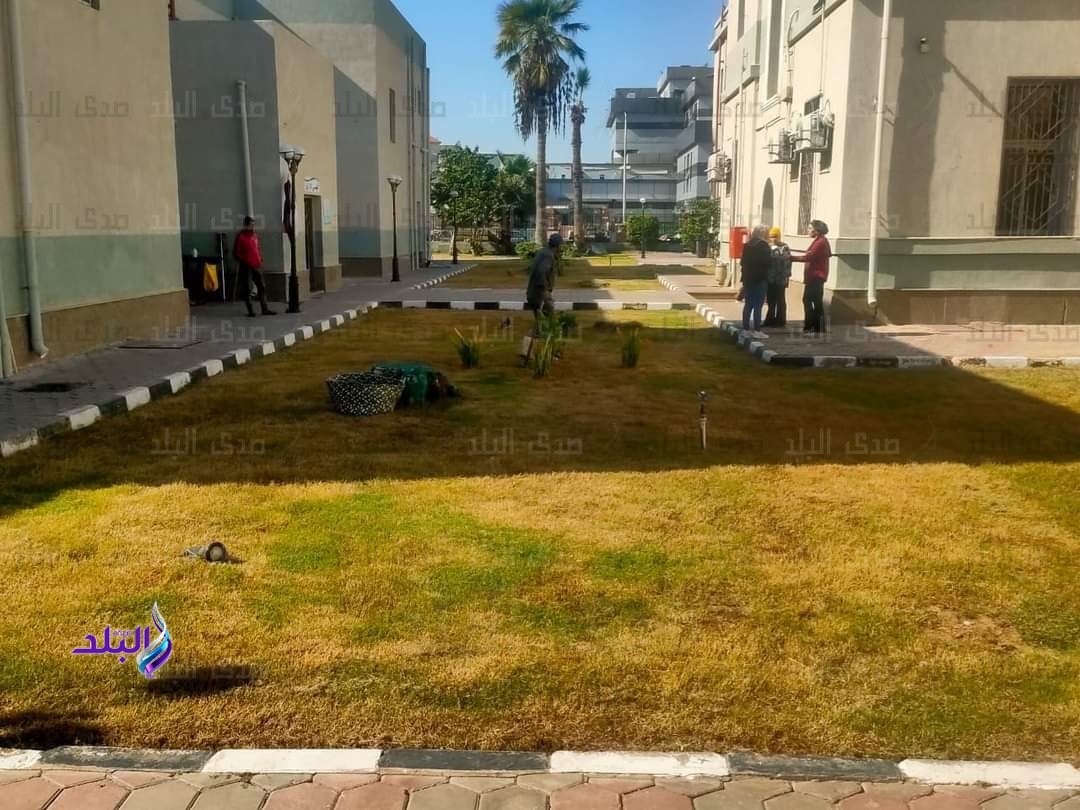 FB_IMG_1700750431020