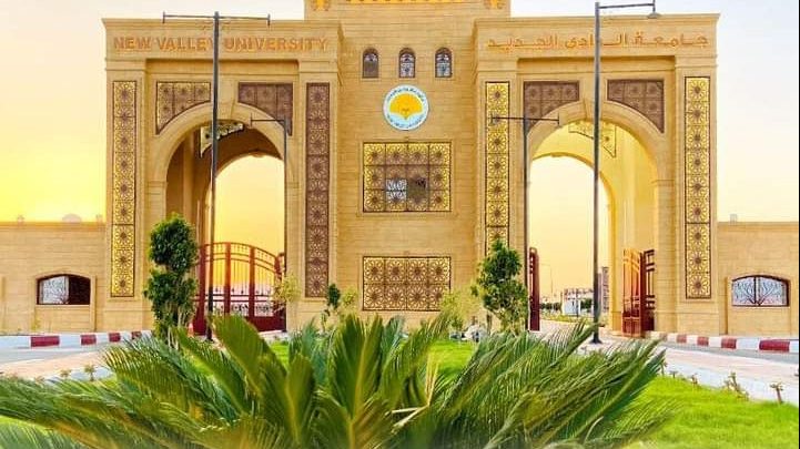 جامعة الوادي الجديد