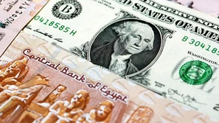 سعر الدولار 