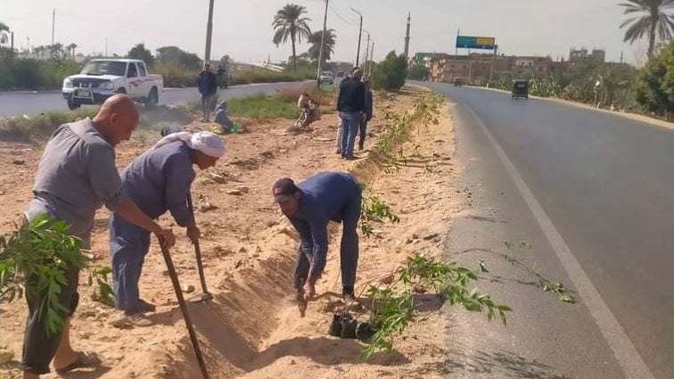 زراعة أشجار مثمرة 